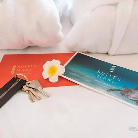 Mana - Matahina Avec Vue Superbe Sur La Place Ducale Et Parking Prive Inclus